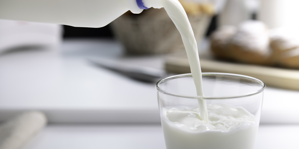cómo se fabrica la leche en polvo