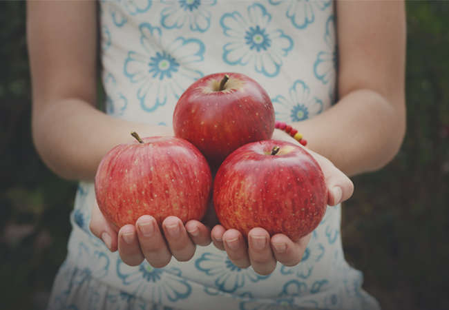 Alimentos saludables para vender en colegios