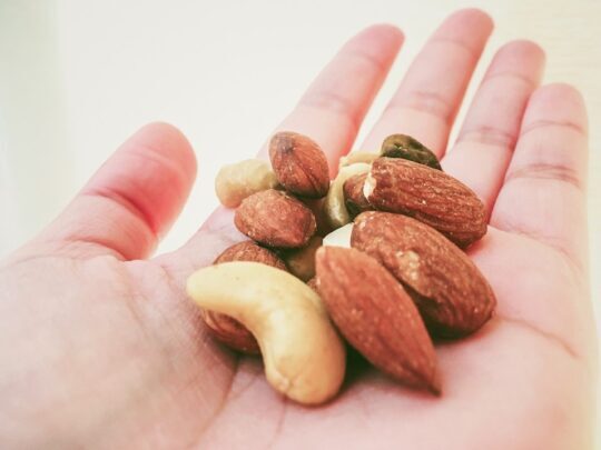 mix-nuts-for-diet_t20_XxpL8l