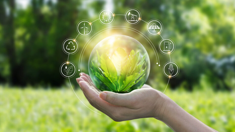 Cómo contribuye Vendival al cuidado del medioambiente